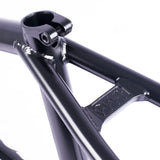 Cult Heaven's Gate Frame (Brandon Begin)