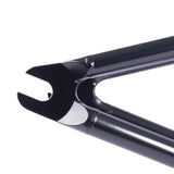 Cult Heaven's Gate Frame (Brandon Begin)