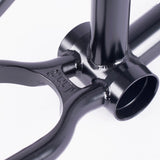 Cult Heaven's Gate Frame (Brandon Begin)