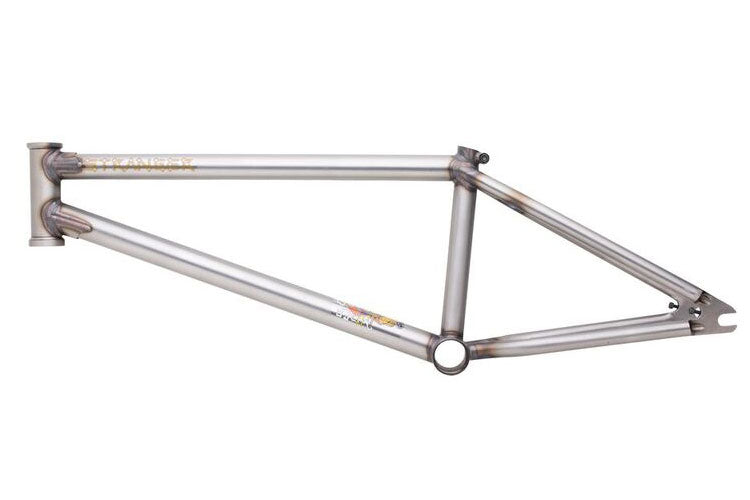 Stranger Zia Frame (Nate Richter)