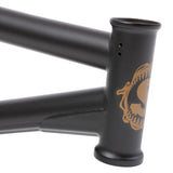 Sunday Darkwave Frame (Broc Raiford)