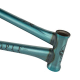 We The People Paradox Frame