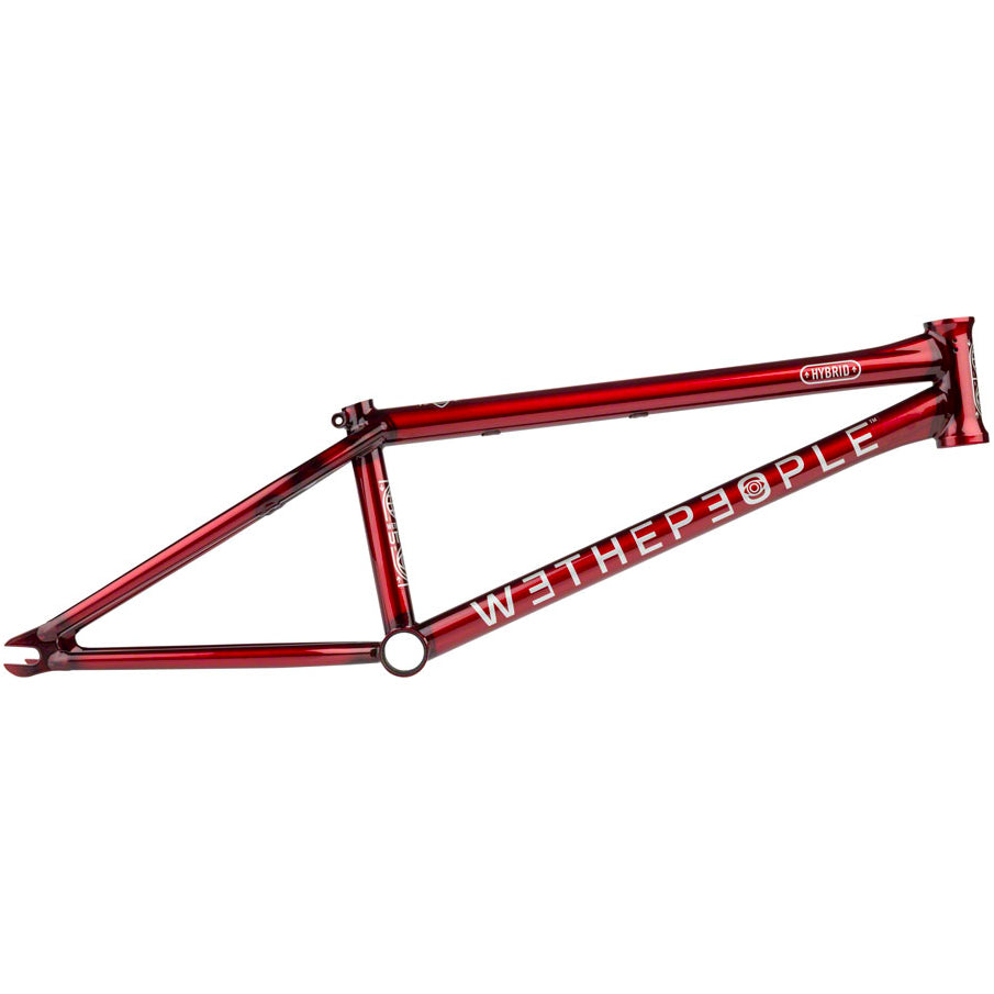 We The People Hybrid Frame