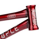 We The People Hybrid Frame