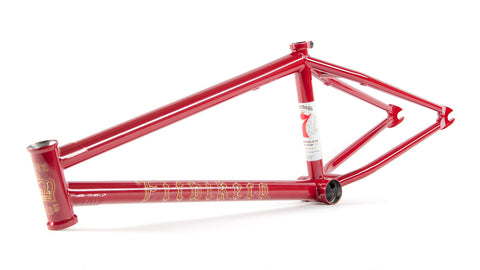 Fit Brandon Begin Frame – ORIOL BIKE SHOP